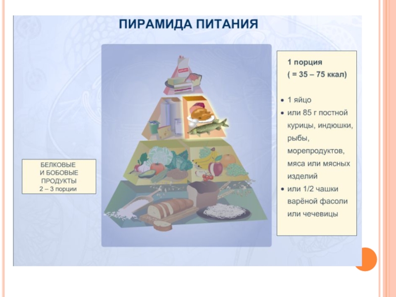 Нормы питания 8 класс биология презентация