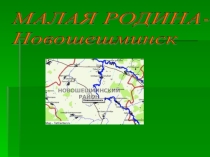 МАЛАЯ РОДИНА- Новошешминск