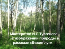 Мастерство Тургенева в изображении природы (по рассказу Бежин луг)