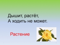 Размножение и развитие растений