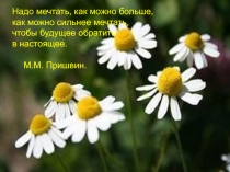 Дом моей мечты