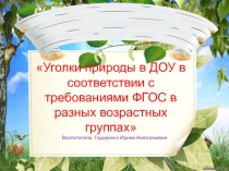 Уголки природы в ДОУ в соответствии с требованиями ФГОС в разных возрастных группах