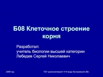 Клеточное строение корня 6 класс