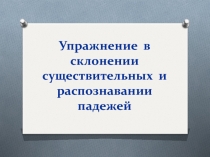 Упражнение в склонении существительных и распознавании падежей