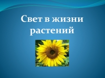 Свет в жизни растений 6 класс