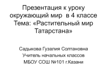 Растительный мир Татарстана 4 класс