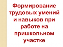 Формирование трудовых умений и навыков при работе на пришкольном участке