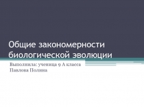 Общие закономерности биологической эволюции 9 класс