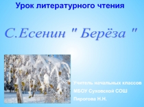 С. Есенин Берёза