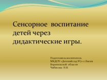 Сенсорное воспитание детей через дидактические игры