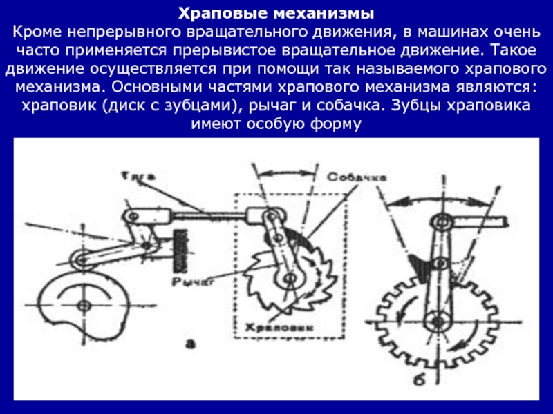 Осуществляемые движения