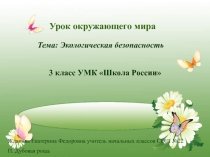 Презентация по окружающему миру 