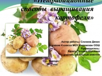 Нетрадиционные способы выращивания картофеля 4 класс