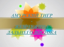 Амурский тигр 5 класс