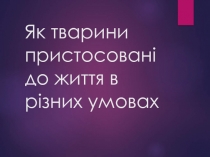 Як тварини пристосовані до життя в різних умовах