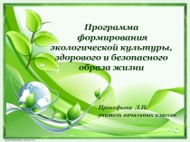 Программа формирования экологической культуры, здорового и безопасного образа жизни