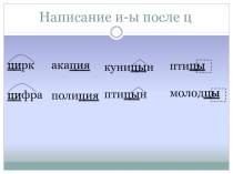 Написание и-ы после ц 5 класс