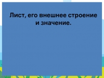 Лист, его внешнее строение и значение