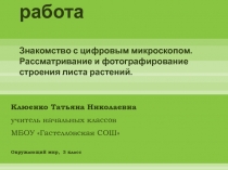 Лабораторная работа 