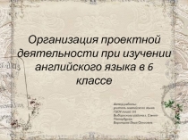 Организация проектной деятельности при изучении английского языка в 6 классе