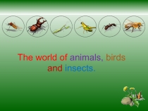 The world of animals, birds and insects 5 класс