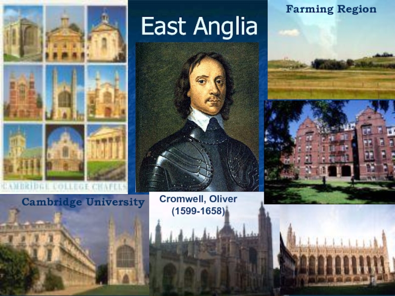 East AngliaCambridge UniversityCromwell, Oliver(1599-1658)Farming Region