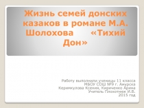 Жизнь семей донских казаков в романе М.А.Шолохова      Тихий Дон  11 класс