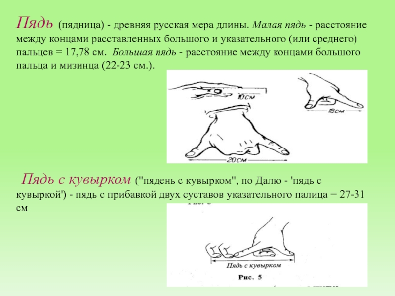 Между концами. Малая пядь. Пядь с кувырком. Великая пядь. Расстояние между концами указательного и среднего пальцев.