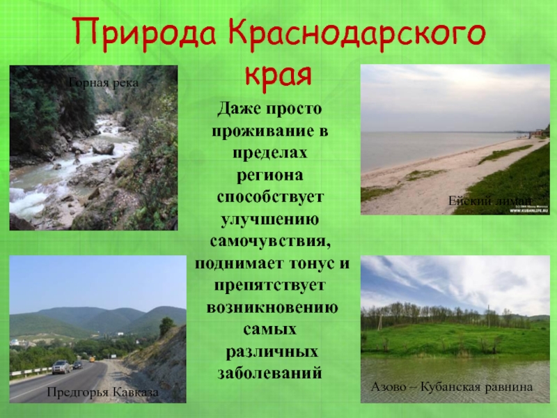 Природа Краснодарского краяПредгорья КавказаДаже просто проживание в пределах региона способствует улучшению самочувствия, поднимает тонус и препятствует возникновению