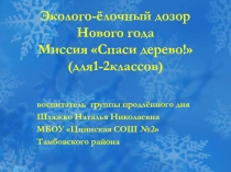 Эколого-ёлочный дозор Нового года Миссия 