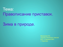 Правописание приставок. Зима в природе