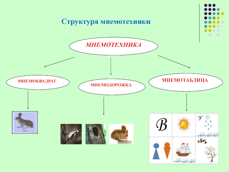 Примеры мнемоквадратов для дошкольников в картинках