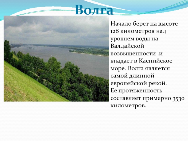 Волга берет начало на валдайской или среднерусской возвышенности