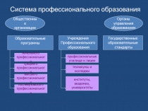 Система профессионального образования