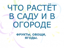 ЧТО РАСТЁТ В САДУ И В ОГОРОДЕ