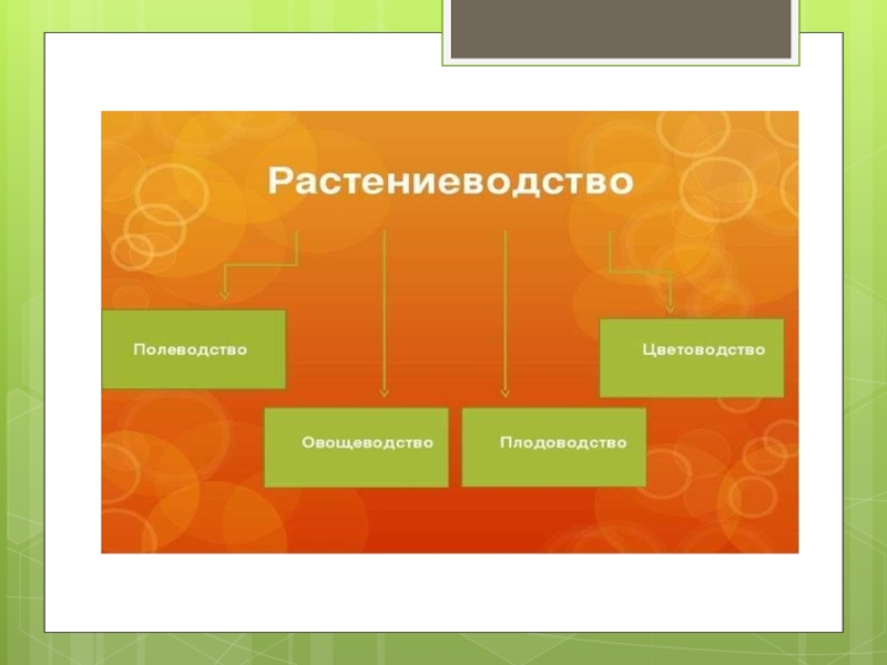 Растениеводство в нашем крае 4 класс конспект урока и презентация