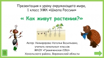 Как живут растения? 1 класс УМК Школа России