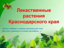Лекарственные растения Краснодарского края 3 класс