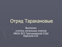 Отряд Таракановые