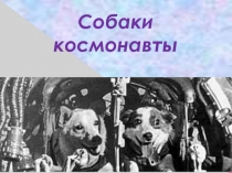 Собаки космонавты 3 класс