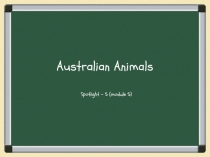 Australian Animals 5 класс