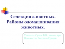 Селекция животных. Районы одомашнивания животных 11 класс