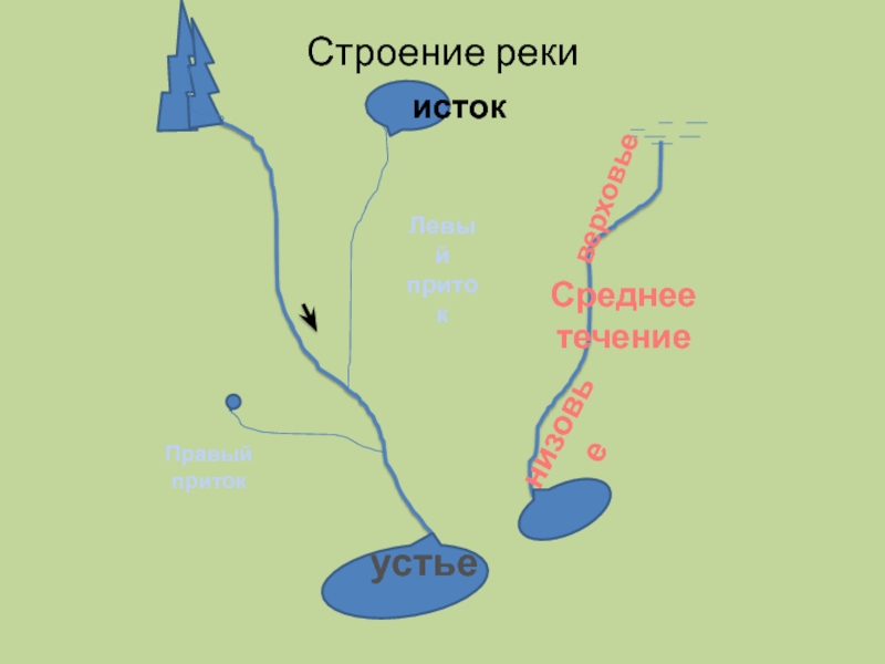 Речная система реки