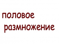 Половое размножение 8 класс