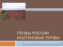 Почвы России. Каштановые почвы 8 класс