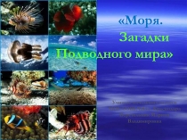 Моря. Загадки подводного мира 2 класс