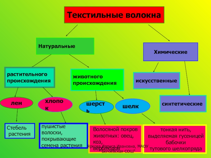 Волокна растительного происхождения. Текстильные волокна натуральные и химические. Натуральные ткани растительного происхождения. Свойства волокон растительного происхождения. Текстильные волокна: хлопок и лён