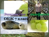 Эпизоотия и эпифитотия 7 класс