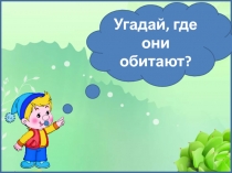 Угадай, где они обитают?