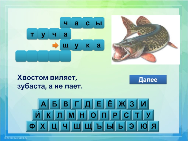 Далее б. Рыба на букву ЩУ. Слова из букв х,ц,ч,ш,щ,э,ю,ы,ь,я. Хвостиком виляет зубаста а не лает ответ. Хвостом виляет зубаста а не лает ответ.